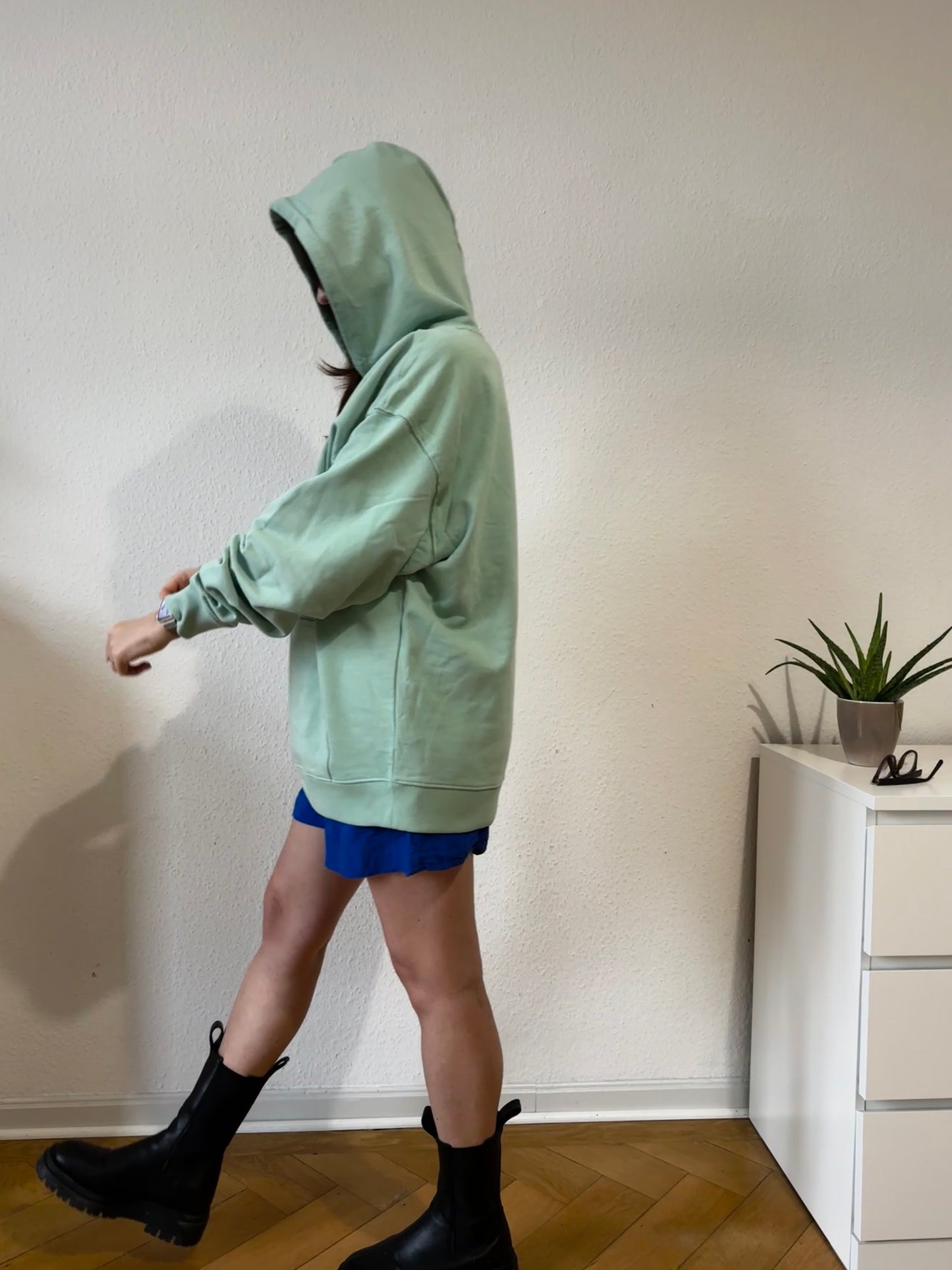 BIRDS HOODIE